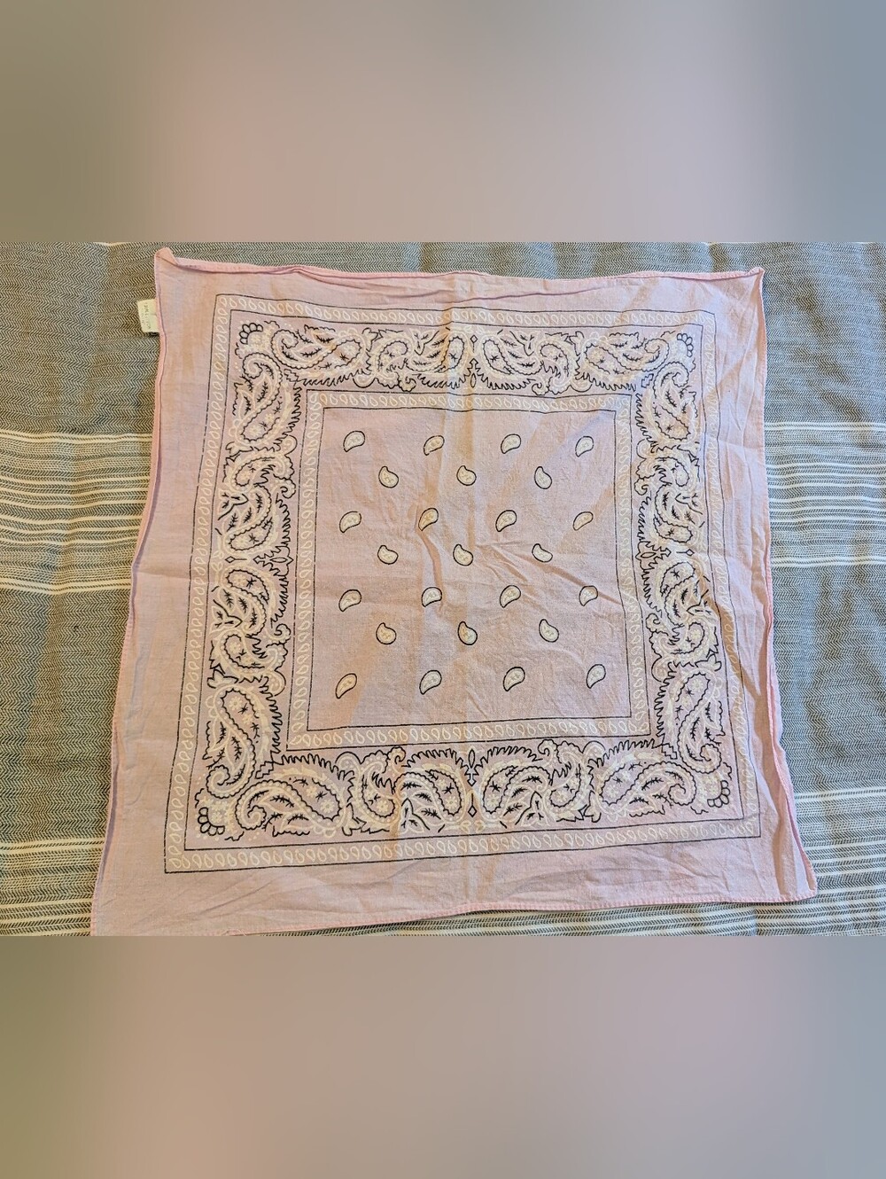 Pink Paisley Bandana